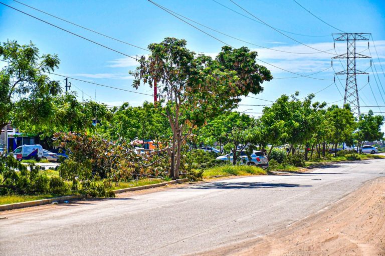 *Poda de árboles en avenidas Santa Rosa y Las Torres corresponde a trabajos de CFE.*